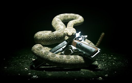 Hitman: Absolution - Hitman: Absolution — Подробности о версиях игры для России и стран СНГ Hitman: Absolution - Hitman: Absolution — Подробности о версиях игры для России и стран СНГ